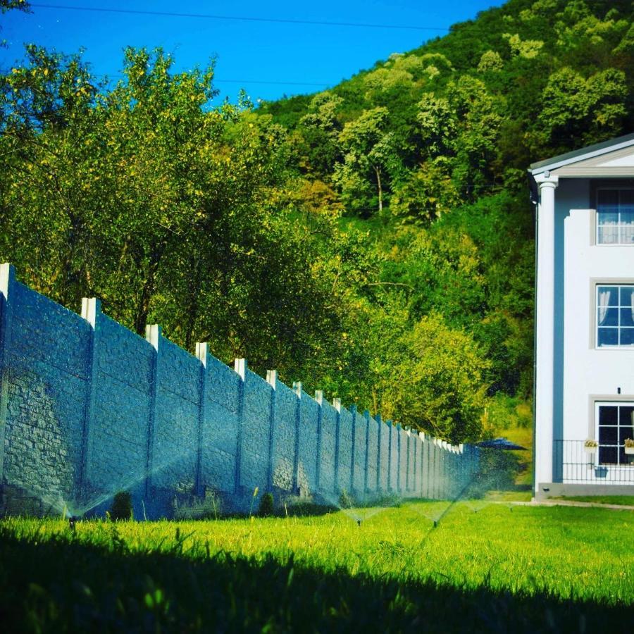 Green Hill Villa Кэлимэнешти Экстерьер фото